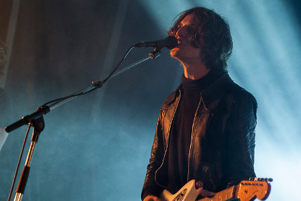 the wombats